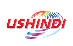 Ushindi
